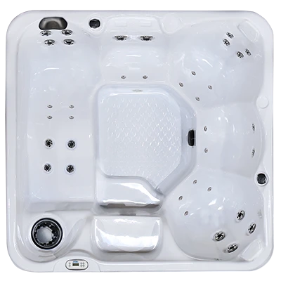 Hawaiian PZ-636L hot tubs for sale in Redwood City